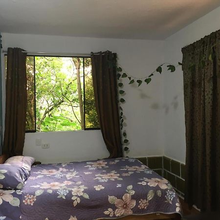Madera Verde Ecolodge Maranura エクステリア 写真