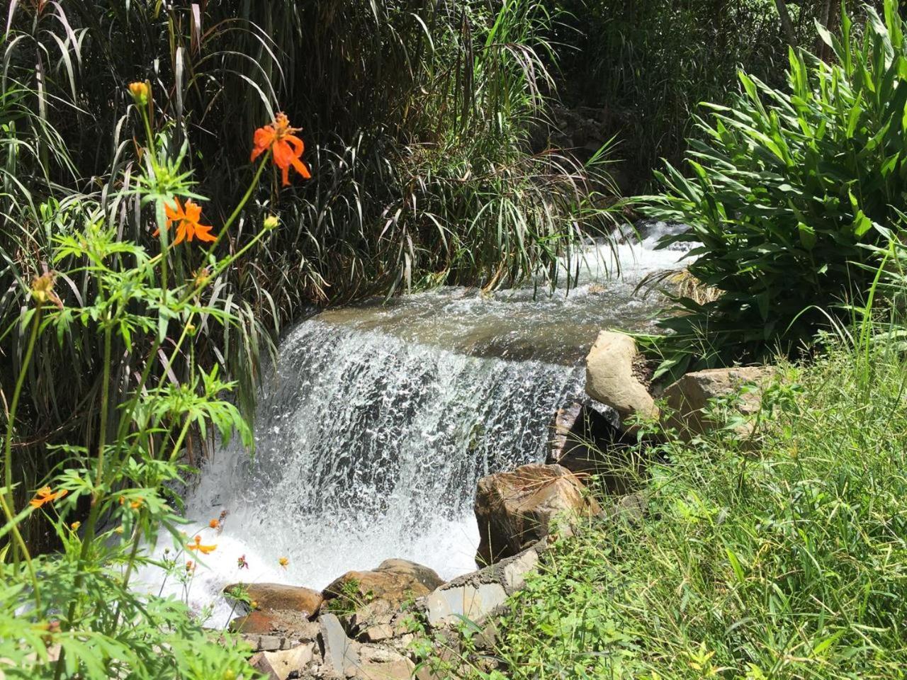 Madera Verde Ecolodge Maranura エクステリア 写真